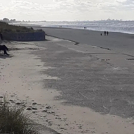 Duinendaele 280 * 드판