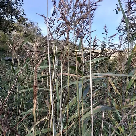 Prázdninový dům Duinendaele 280 *